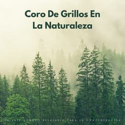 Coro De Grillos En La Naturaleza: Paisaje Sonoro Relajante Para La Concentración - Próxima Naturaleza