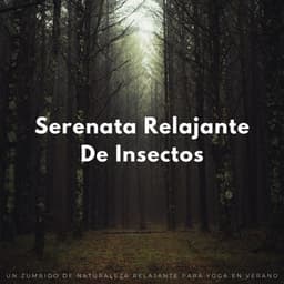 Serenata Relajante De Insectos: Un Zumbido De Naturaleza Relajante Para Yoga En Verano - Grillos Cantantes