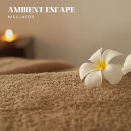 Ambient Escape: Massage Therapy Music - Wellness