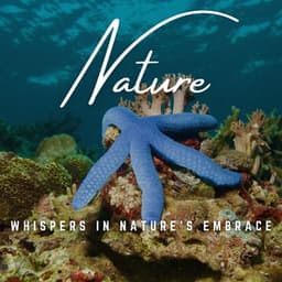 Baby's Sanctuary: Melodic Nature Hush - Babies Love Brahms