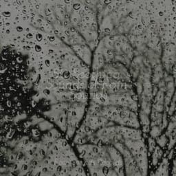 50 Soothing Sounds of Rain Sounds - Relaxing Rain Sounds
