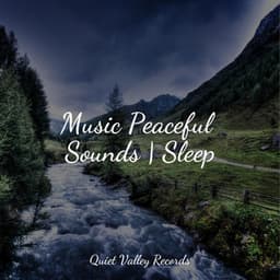 Music Peaceful Sounds | Sleep - Thunder Storm