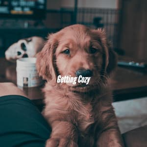 Getting Cozy - Jazz per Studiare