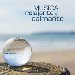 Musica Relajante y Calmante con Ruido Blanco para el Bebé: Sonidos de la Naturaleza para Recién Nacidos y Ayudar a Dormir los Niños - Sonidos de la Naturaleza Ruido Blanco Para Bebes