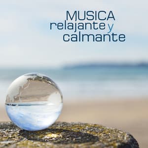 Musica Relajante y Calmante con Ruido Blanco para el Bebé: Sonidos de la Naturaleza para Recién Nacidos y Ayudar a Dormir los Niños - Sonidos de la Naturaleza Ruido Blanco Para Bebes