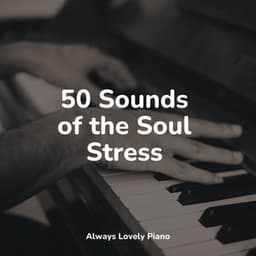 50 Sounds of the Soul Stress - Tranquil Music Sound of Nature