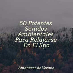 50 Potentes Sonidos Ambientales Para Relajarse En El Spa - kinderliedjes