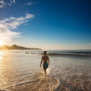 The Peaceful Orchestra: A Symphony For Pure Relaxation - Calming Music Symphony