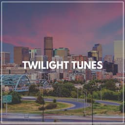 Twilight Tunes - Chill Hip-Hop Beats