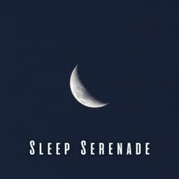 Sleep Serenade: Meditation Sounds for Blissful Slumber - Pure Meditation Music