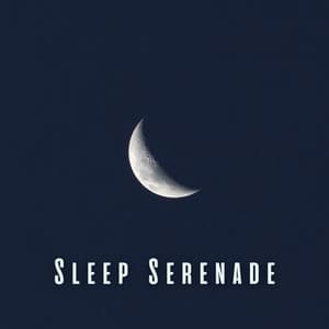 Sleep Serenade: Meditation Sounds for Blissful Slumber - Pure Meditation Music
