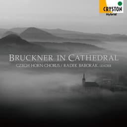 Bruckner in Cathedral - Anton Bruckner