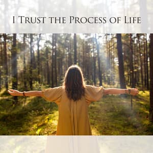 I Trust the Process of Life: In the Flow, I Am Creating the Life of My Dreams, Manifestation Music - Oasis of Relaxation and Meditation