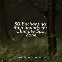 50 Enchanting Rain Sounds for Ultimate Spa Zone - Japanese Relaxation and Meditation