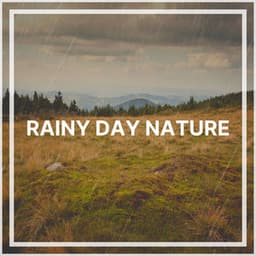 Rainy Day Nature - The Sound Of The Rain