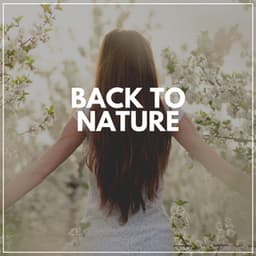 Back to Nature - Island Nature Sounds