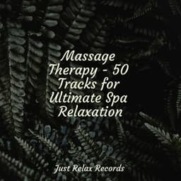 Massage Therapy - 50 Tracks for Ultimate Spa Relaxation - Children's Music