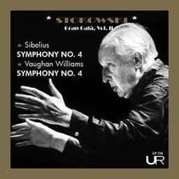 Stokowski: Gran Galà, vol. II - Leopold Stokowski