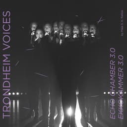 Echo Chamber 3.0/Ekkokammer 3.0 - Trondheim Voices
