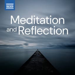 Meditation And Reflection - Johann Sebastian Bach