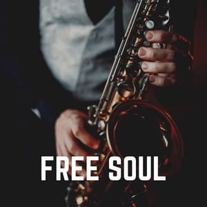 Free Soul - Jazz For Sleeping
