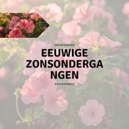 Eeuwige Zonsondergangen - Ontspanning en Harmonie