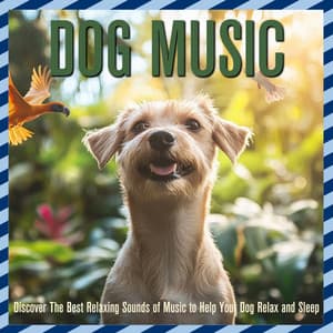 Dog Music: Discover The Best Relaxing Sounds of Music to Help Your Dog Relax and Sleep - Dog Music Dreams