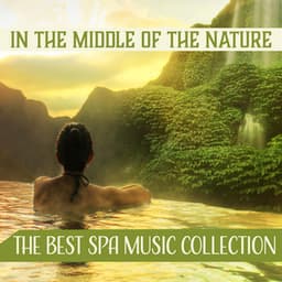 In the Middle of the Nature - Nature Sounds Paradise