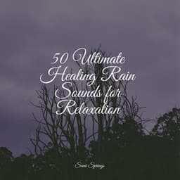 50 Ultimate Healing Rain Sounds for Relaxation - Masters of Binaurality