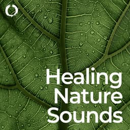 Healing Nature Sounds: Relaxation and Sleep - Healing Meditation Zone & Pure Spa Massage Music & Serenity Music Relaxation