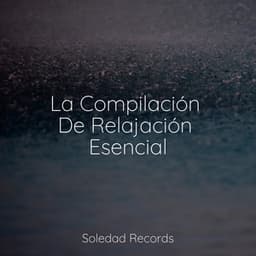 La Compilación De Relajación Esencial - Natureza