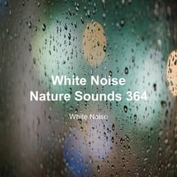 White Noise 364 - White Noise