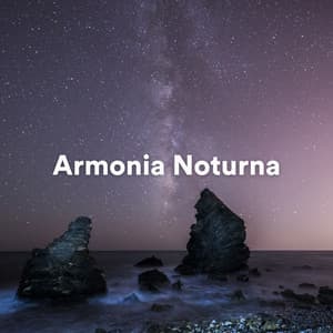 Armonia Noturna - Massagem