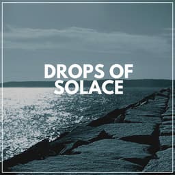 Drops of Solace - Sample Rain Library