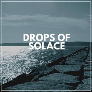 Drops of Solace - Sample Rain Library