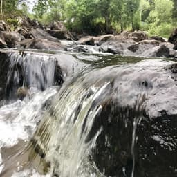 14 Natural Rain Sounds for Sleep, Meditation, Insomnia, Yoga, Study and Focus - Rain Sounds