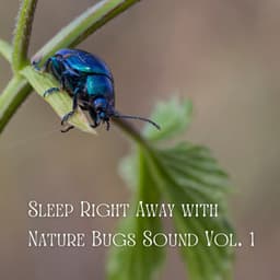 Sleep Right Away with Nature Bugs Sound Vol. 1 - Deep Sleep Sounds