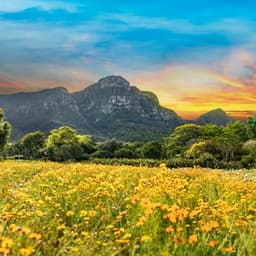 Soothing Music for Peaceful Rest - Soothing Music