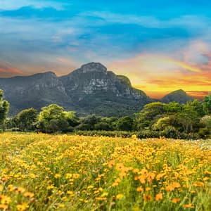 Soothing Music for Peaceful Rest - Soothing Music