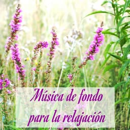 Música de fondo para la relajación – Instrumental music con sonidos de la naturaleza para la concentración - Música relajante con sonidos de la naturaleza