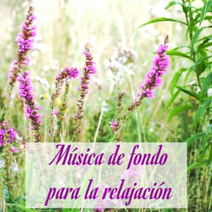 Música de fondo para la relajación – Instrumental music con sonidos de la naturaleza para la concentración - Música relajante con sonidos de la naturaleza