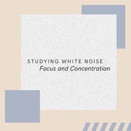 Studying White Noise: Focus and Concentration - White Noise Babies