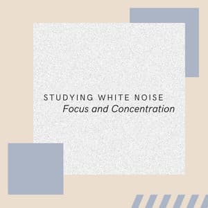 Studying White Noise: Focus and Concentration - White Noise Babies