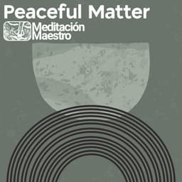 Peaceful Matter - Meditación Maestro