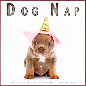 Dog Nap: Relaxing Music for Happy Sleeping Dog - Dog Music Experience
