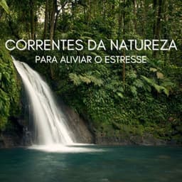 Correntes Da Natureza Para Aliviar O Estresse . - 1 Hora de Meditação