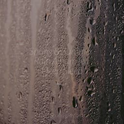 Spring & Summer Rain Album for Deep Sleep - Meeresrauschen