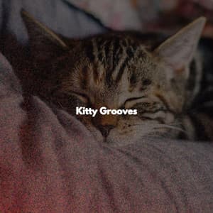 Kitty Grooves - Elevator Music Project