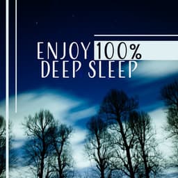 Enjoy 100% Deep Sleep - Relaxing Music for Nightly Relaxation, Recovery & Replenishment, Atmospheric Background to Help You Sleep - Bedtime Songs Sanctuary