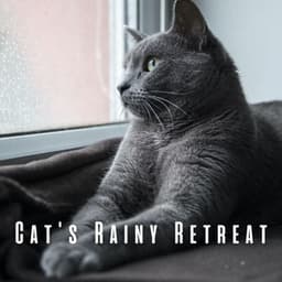 Cat's Rainy Retreat: Binaural Sounds for Stress Relief - April Shower